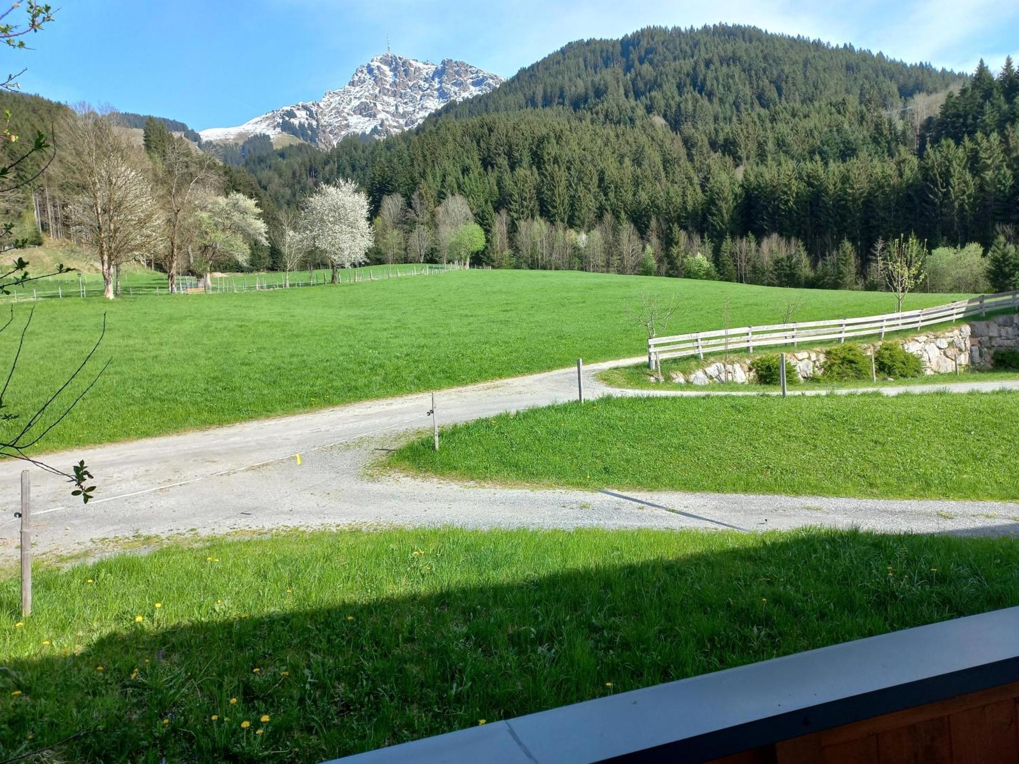 Schiessling Hof Farm stay Oberndorf in Tirol